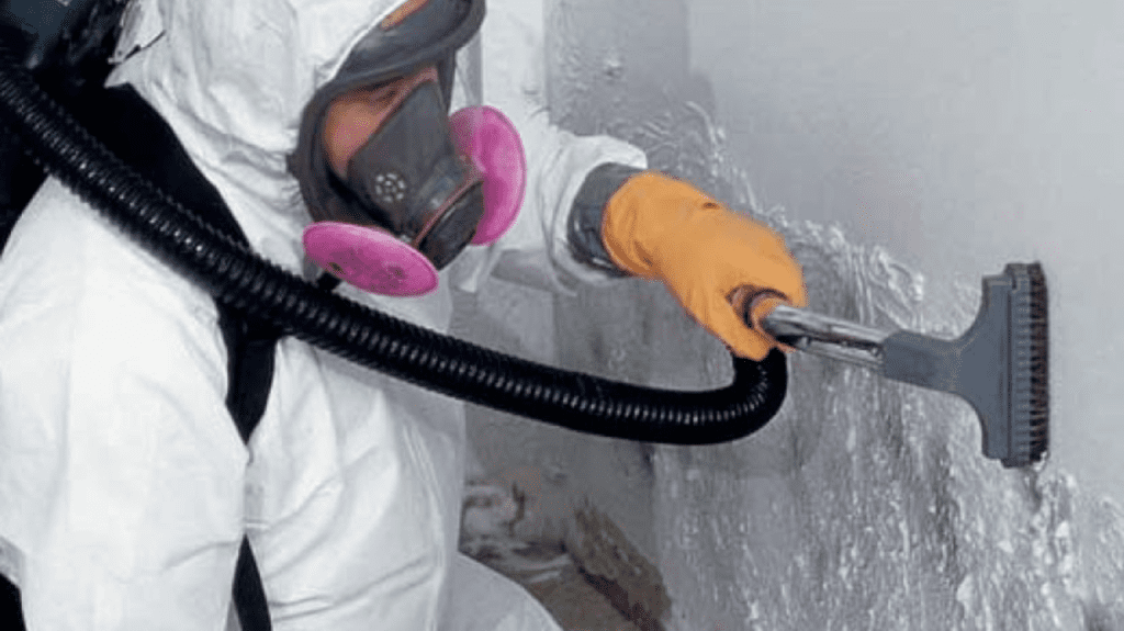 Mold Inspection & Testing in Los Angeles