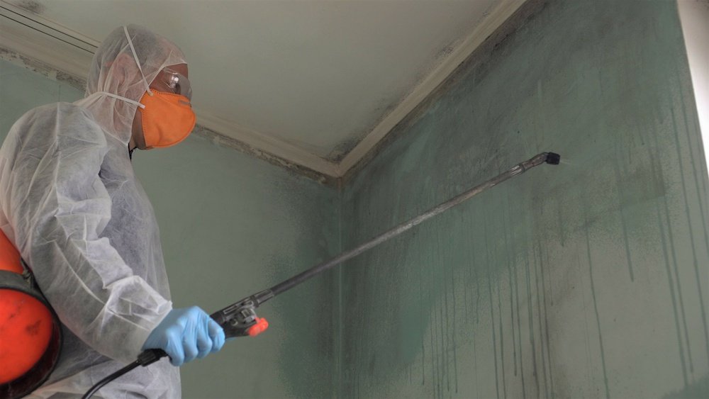 mold remediators in Los Angeles