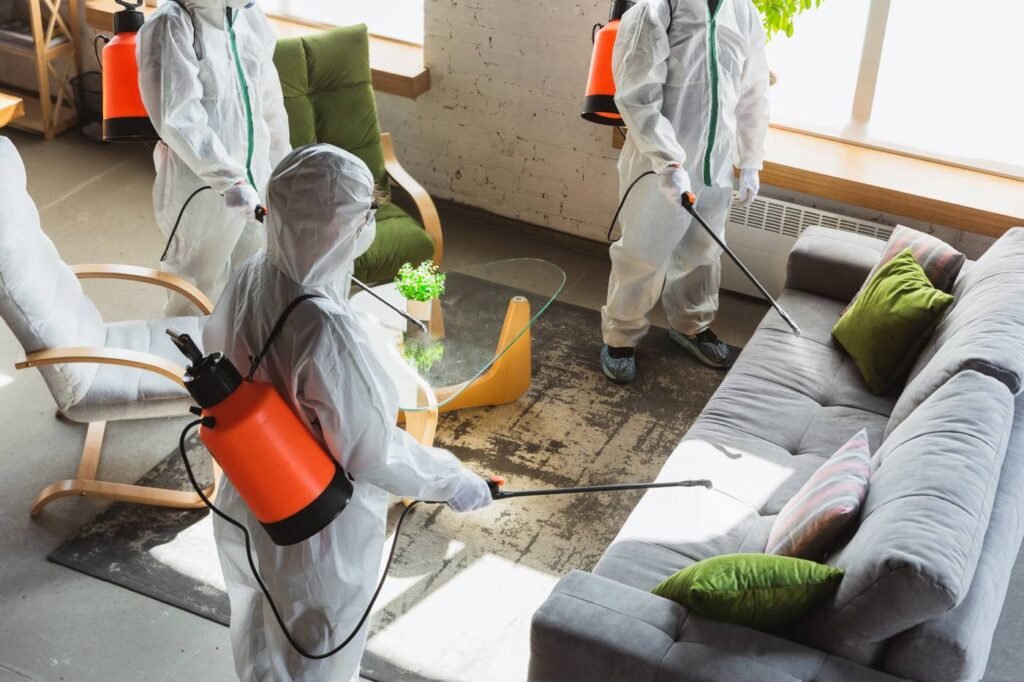 Mold Removal Service in Beverly Hills, CA