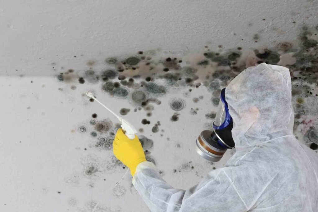 Mold Inspection services