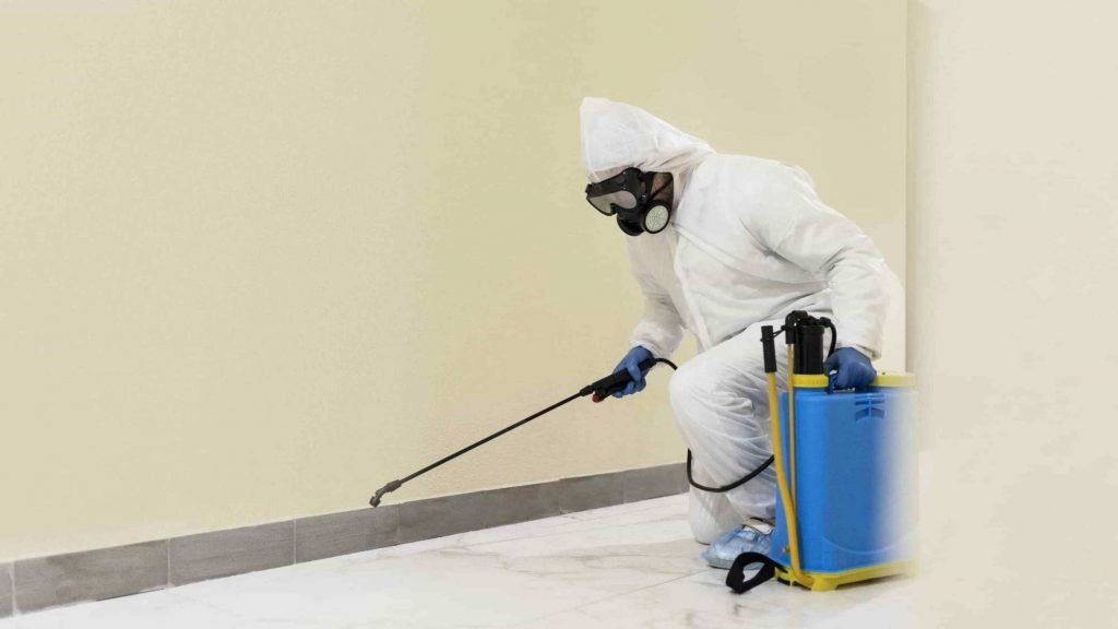 Mold Removal Service in Beverly Hills, CA