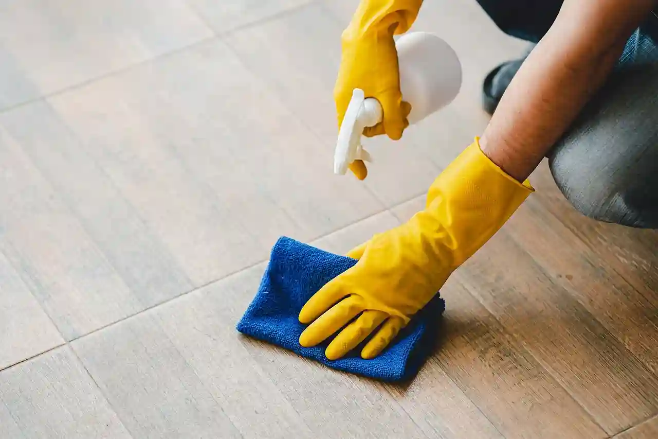 Cleaning Services Roseville