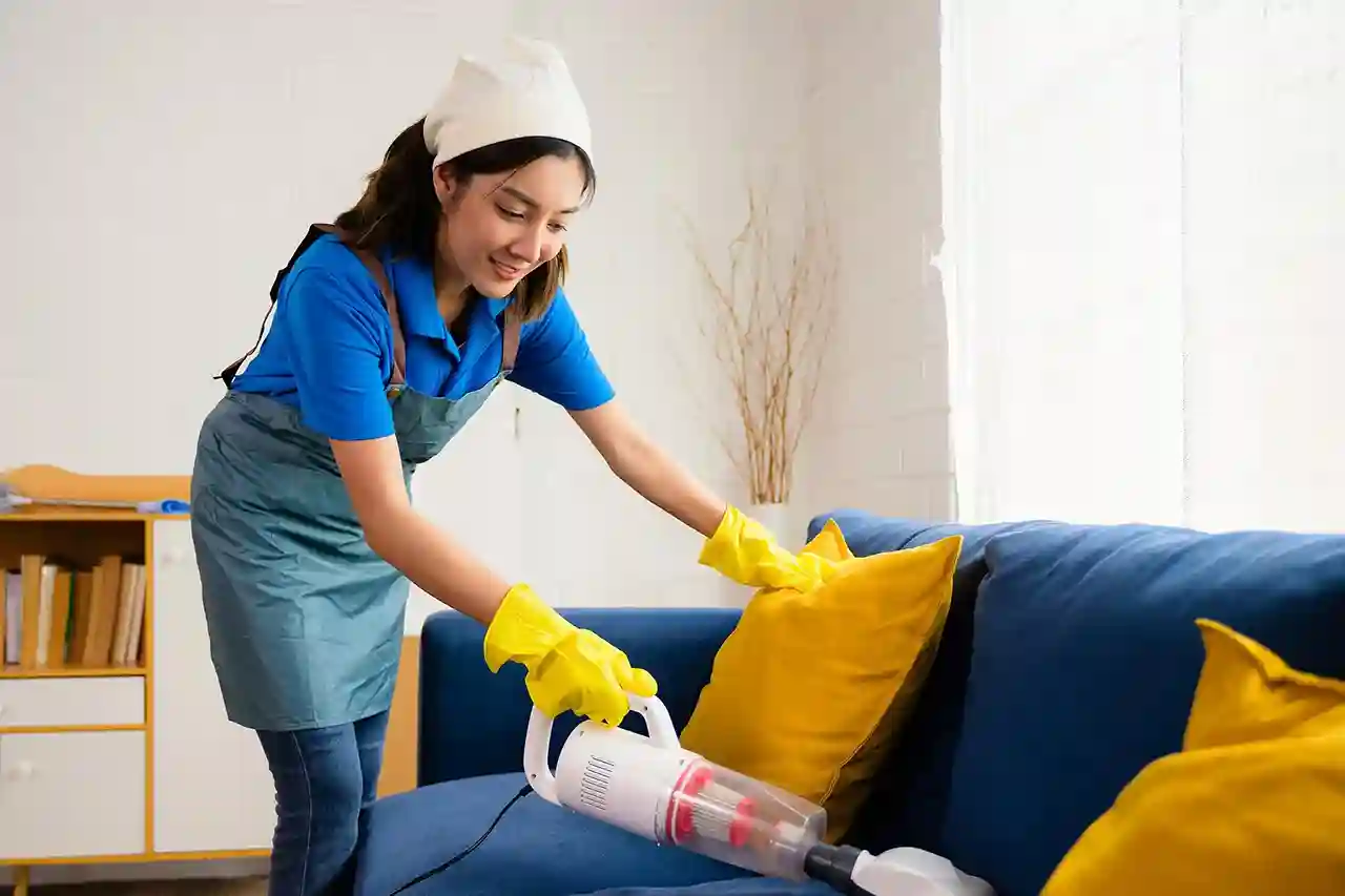 Professional Cleaning Services